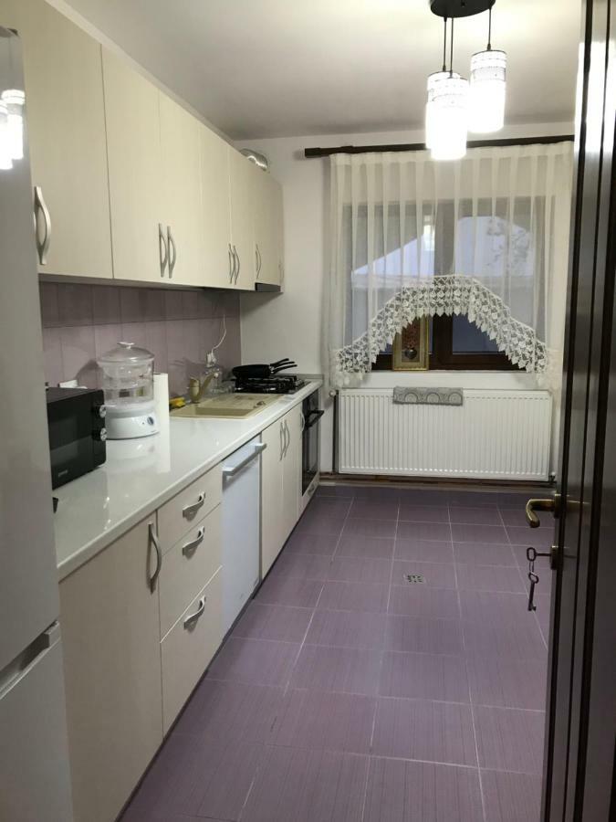 Casa Larisa Hotel Chiscau Eksteriør billede